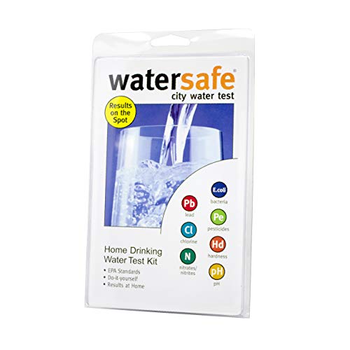 Watersafe WS425B Drinking Water Test Kit 2 CT