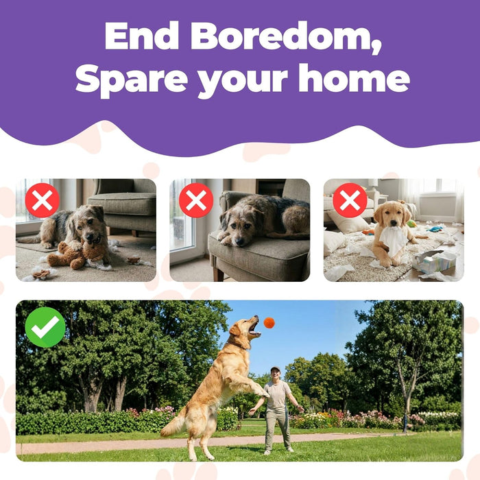 WACKYwalk'r WUNDERball Durable Dog Fetch Toy – Indestructible Natural Rubber Ball, Safer Than Tennis Balls, Floats for Indoor & Outdoor Play, Handmade in North America, Swirl (up to 40 lbs.)