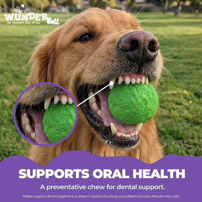 WACKYwalk'r WUNDERball Durable Dog Fetch Toy – Indestructible Natural Rubber Ball, Safer Than Tennis Balls, Floats for Indoor & Outdoor Play, Handmade in North America, Swirl (up to 40 lbs.)