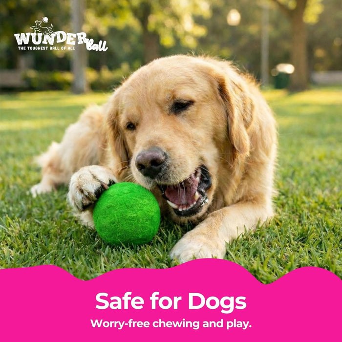 WACKYwalk'r WUNDERball Durable Dog Fetch Toy – Indestructible Natural Rubber Ball, Safer Than Tennis Balls, Floats for Indoor & Outdoor Play, Handmade in North America, Swirl (up to 40 lbs.)