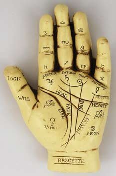 Palmistry Hand with Instruction Book by Raven Blackwood