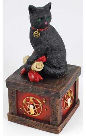 Magical Cat Wishing Box